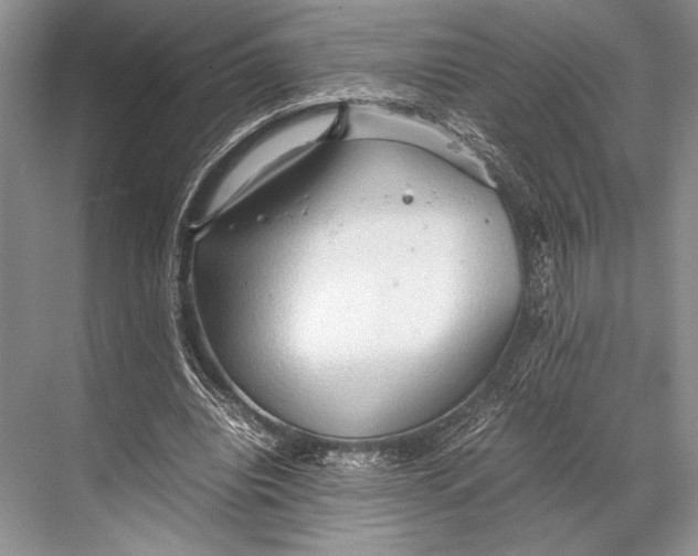 X0000067830440200605041627