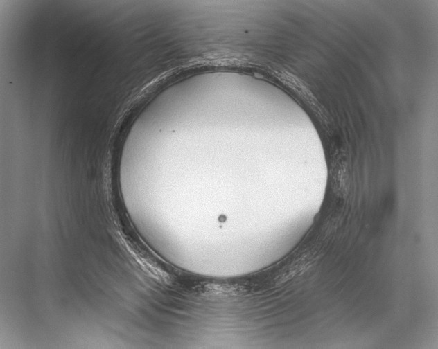 X0000067830442200605041627