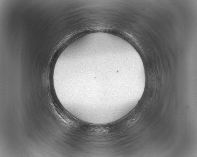 X0000067830443200605041627