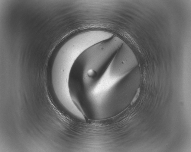 X0000067830444200605041628