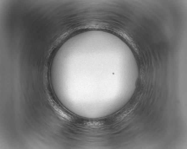 X0000067830445200605041628