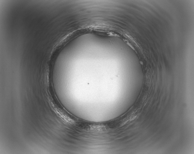 X0000067830446200605041628