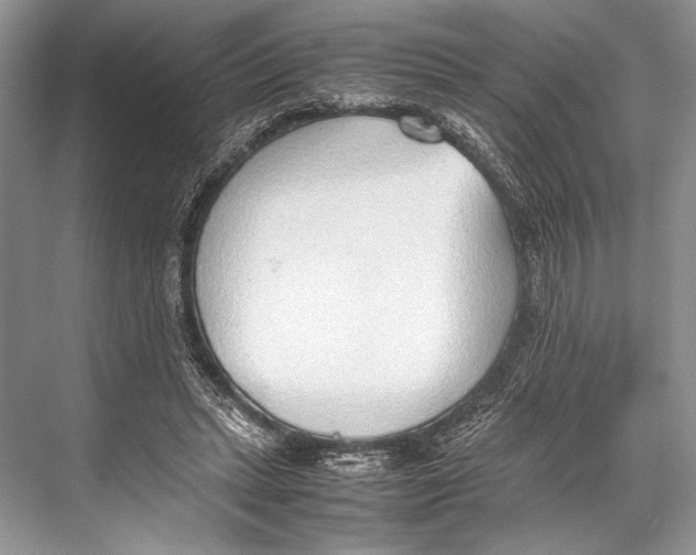 X0000067830447200605041628