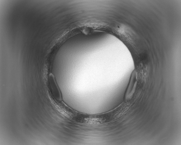 X0000067830448200605041628