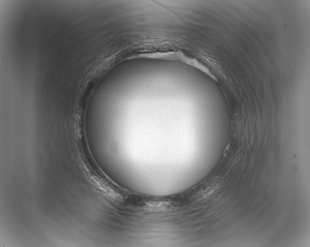 X0000067830450200605041628