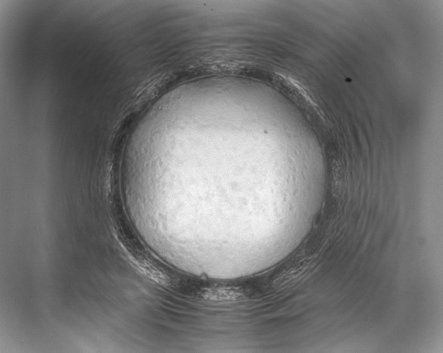 X0000067830451200605041628