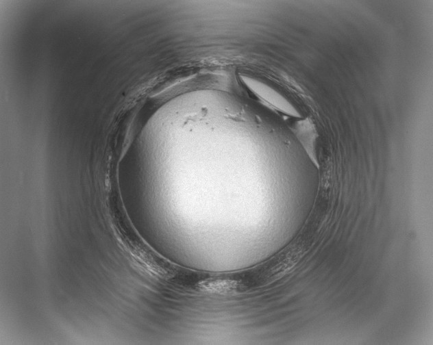 X0000067830452200605041628