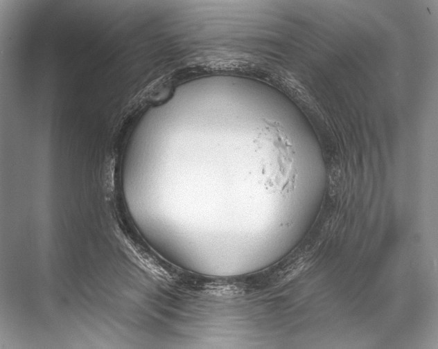 X0000067830454200605041628