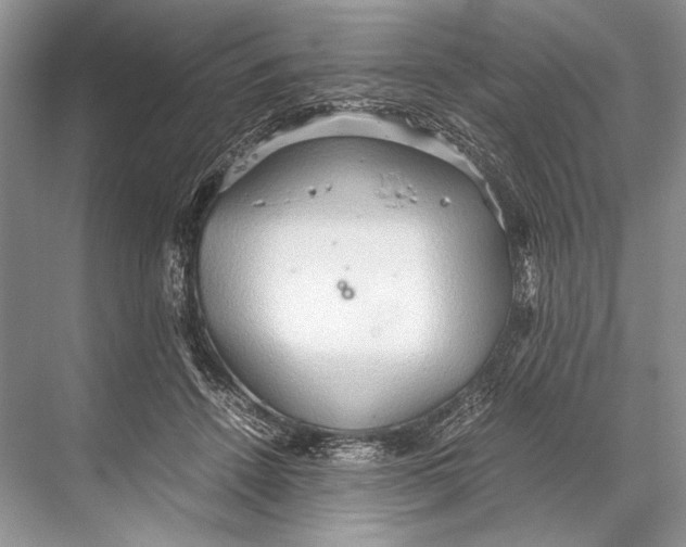 X0000067830456200605041628