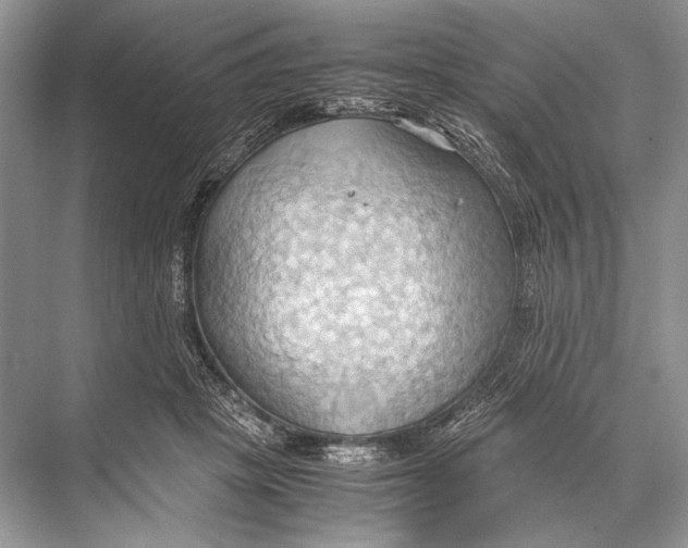 X0000067830457200605041628