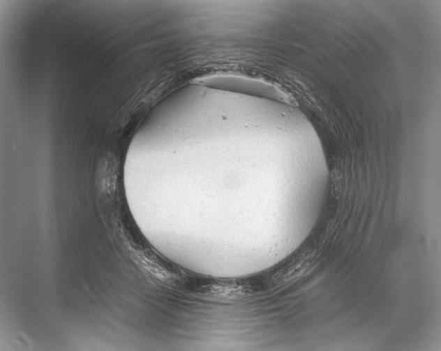 X0000067830458200605041628