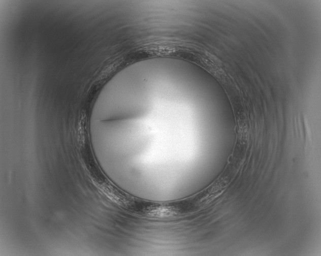 X0000067830460200605041628