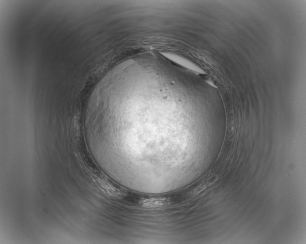 X0000067830461200605041628