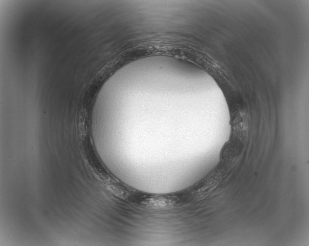 X0000067830464200605041628