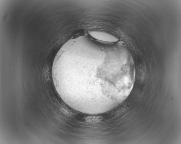 X0000067830465200605041628