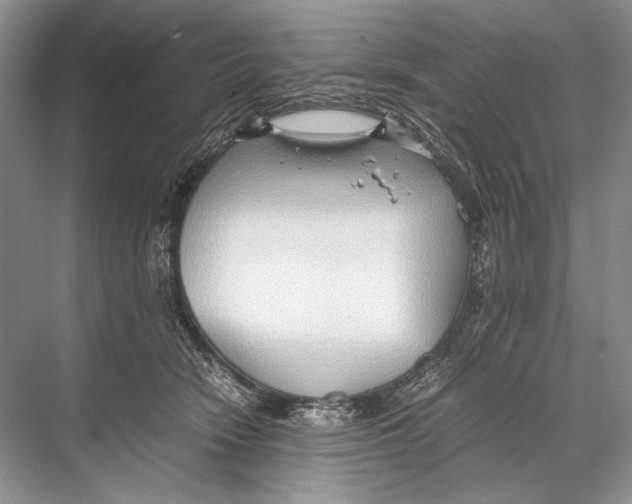 X0000067830466200605041628