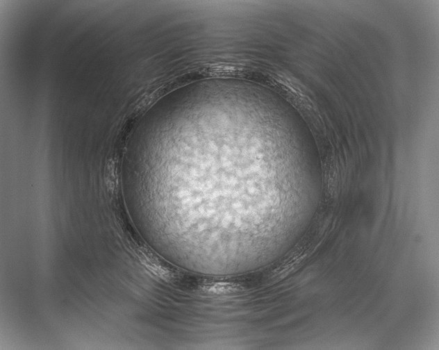 X0000067830467200605041628