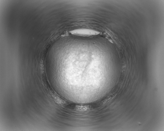 X0000067830469200605041628