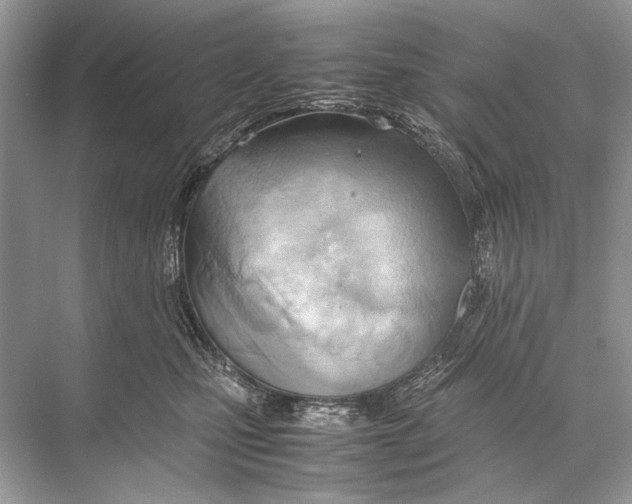 X0000067830471200605041628