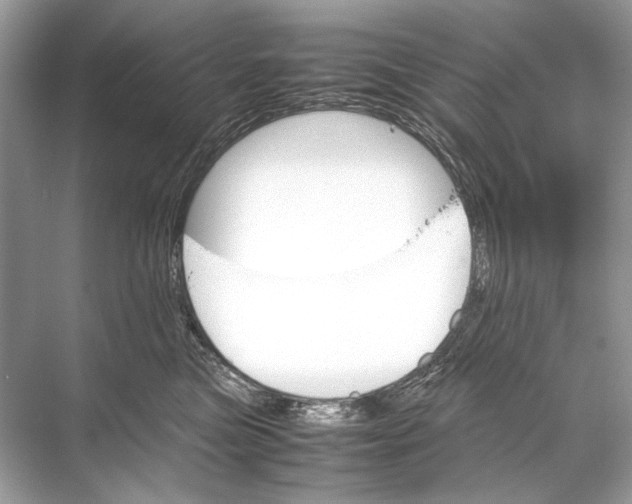 X0000067830473200605041628