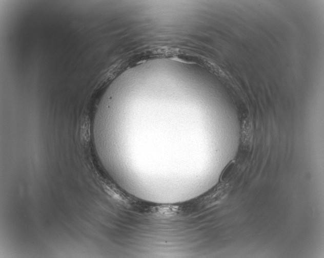 X0000067830474200605041628