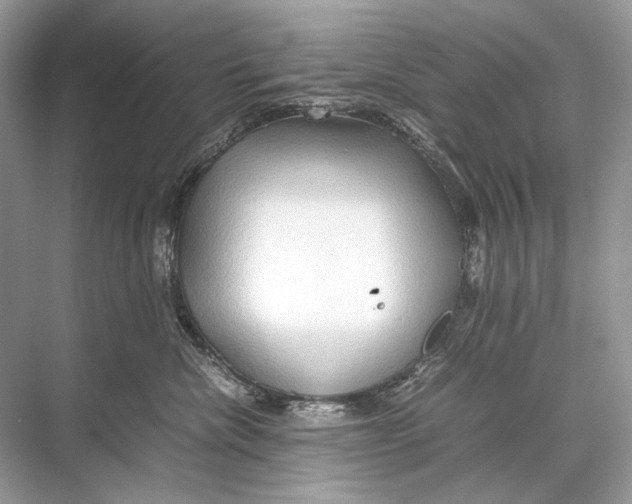 X0000067830476200605041628