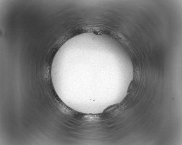 X0000067830477200605041628