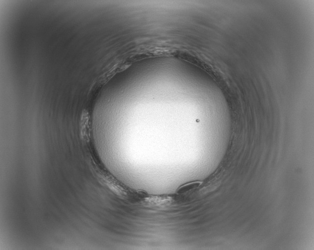 X0000067830480200605041628