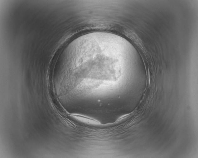 X0000067830483200605041627