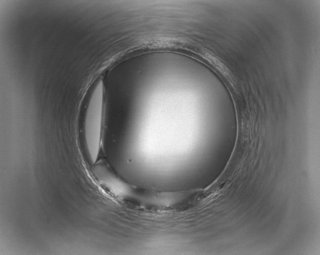 X0000067830485200605041627