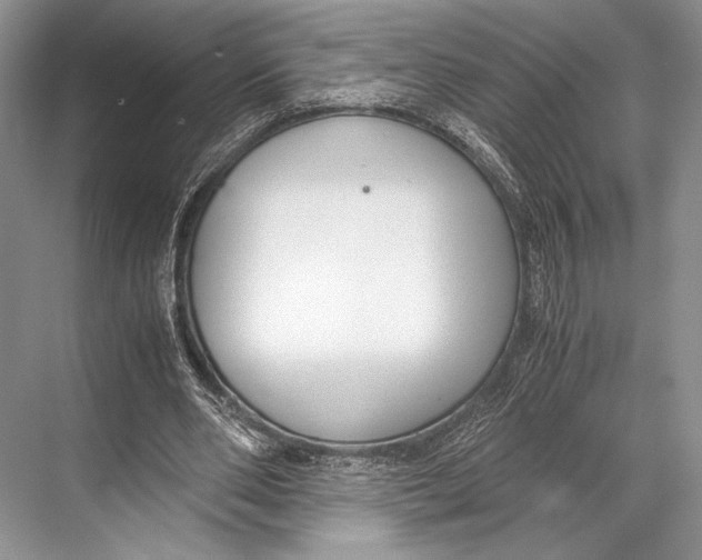 X0000067830486200605041627