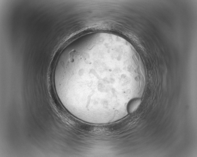 X0000067830487200605041627