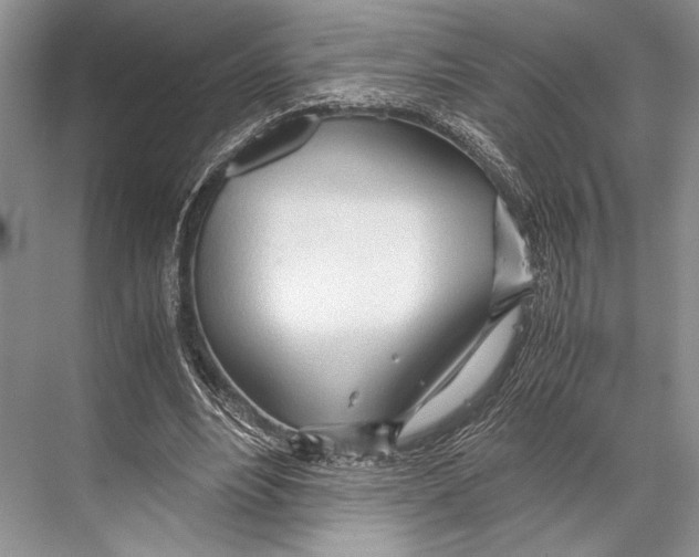 X0000067830488200605041627