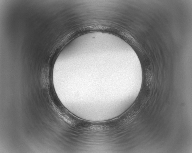 X0000067830490200605041627