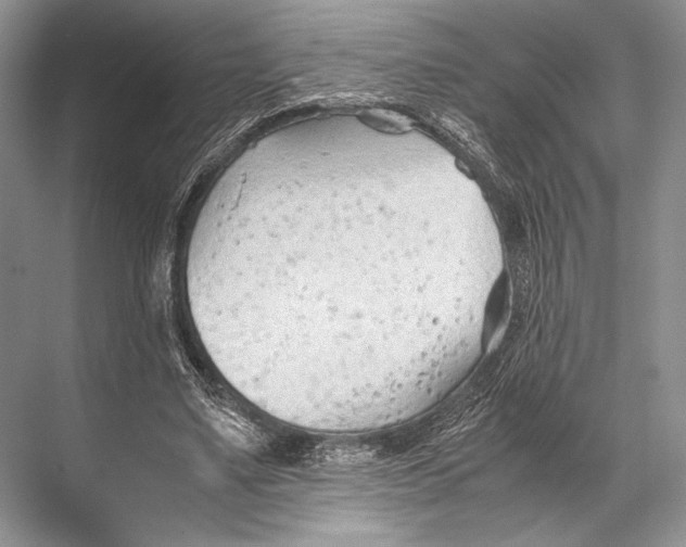 X0000067830491200605041627