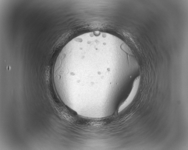 X0000067830495200605041627