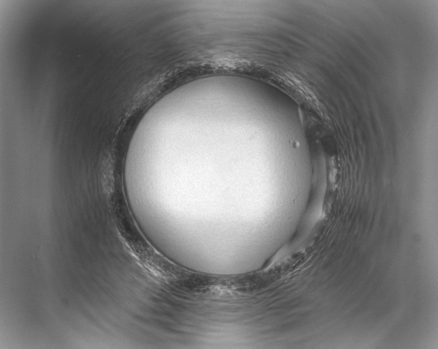 X0000067830496200605041627