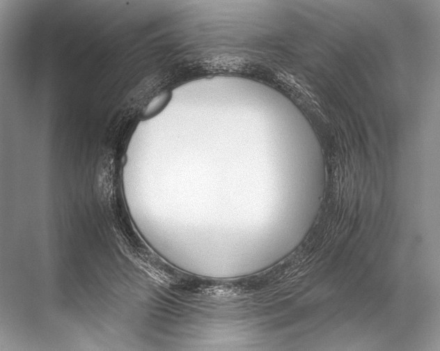 X0000067830498200605041627