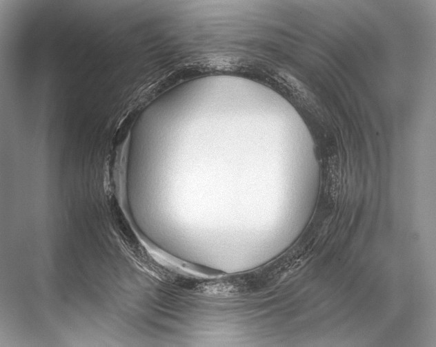 X0000067830500200605041627