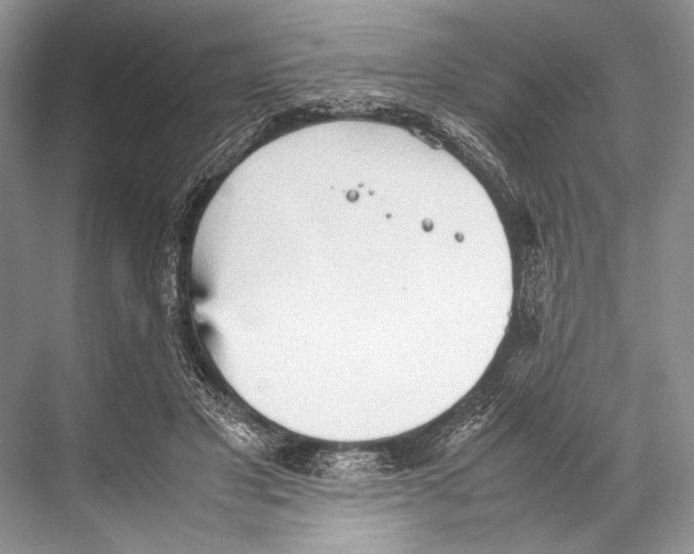 X0000067830501200605041627