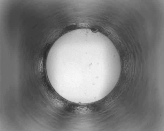 X0000067830502200605041627