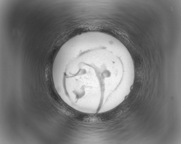 X0000067830503200605041627