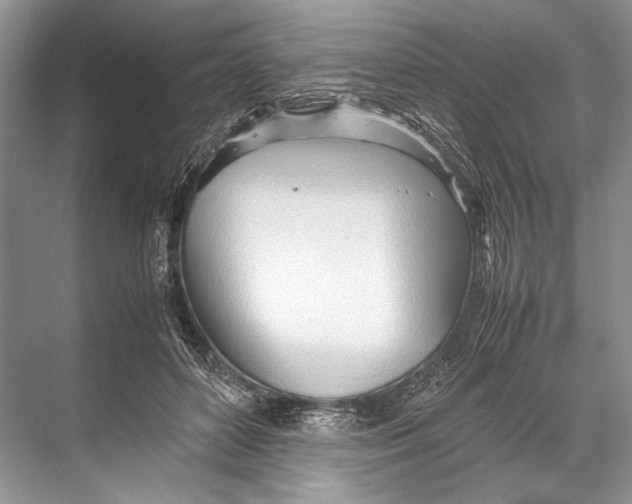 X0000067830504200605041627