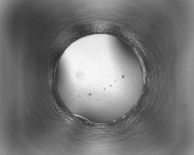 X0000067830505200605041627