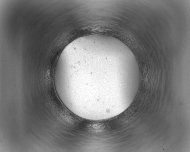 X0000067830506200605041627