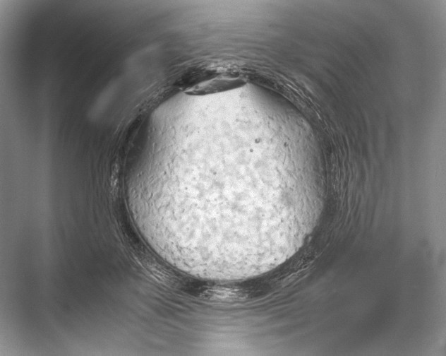 X0000067830507200605041627