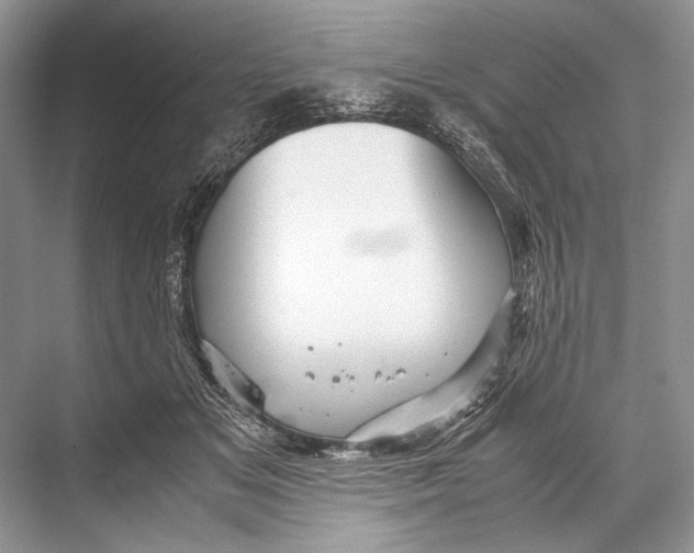 X0000067830509200605041627