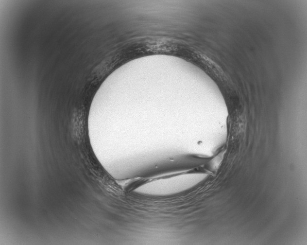 X0000067830513200605041627