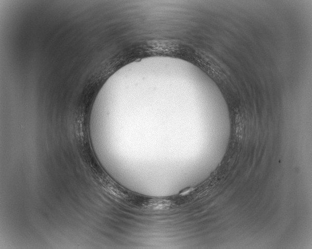 X0000067830514200605041627