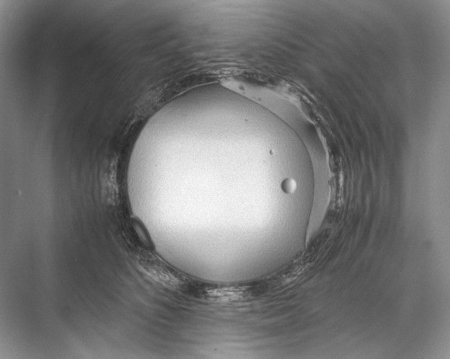 X0000067830516200605041627